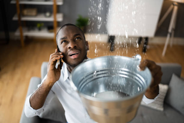 Best Water damage restoration cost  in Blackhawk, SD
