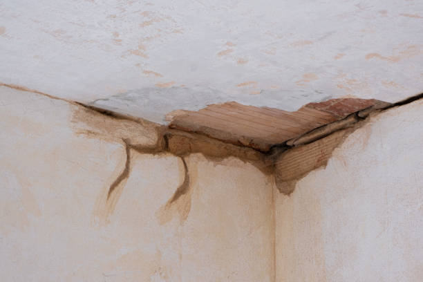 Best Flooded house restoration  in Blackhawk, SD
