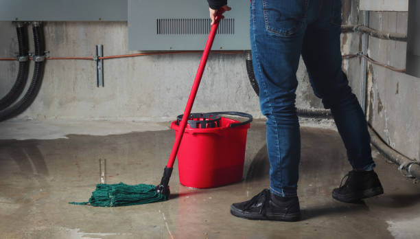 Best Water damage restoration near me  in Blackhawk, SD