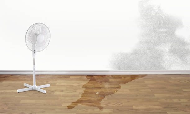 Carpet water damage restoration in Blackhawk, SD