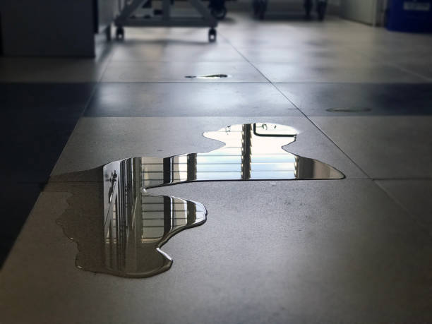 Best Local water damage restoration  in Blackhawk, SD