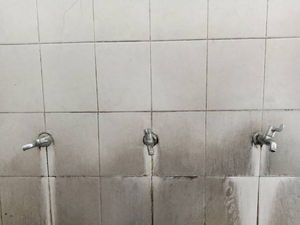 Best Flood restoration services  in Blackhawk, SD