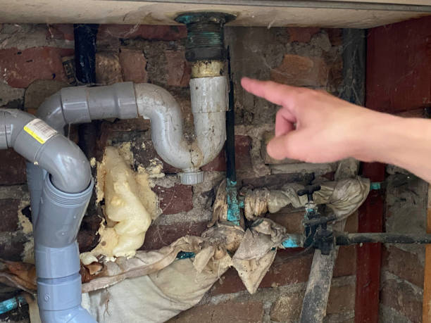 Best Water damage contractors near me  in Blackhawk, SD